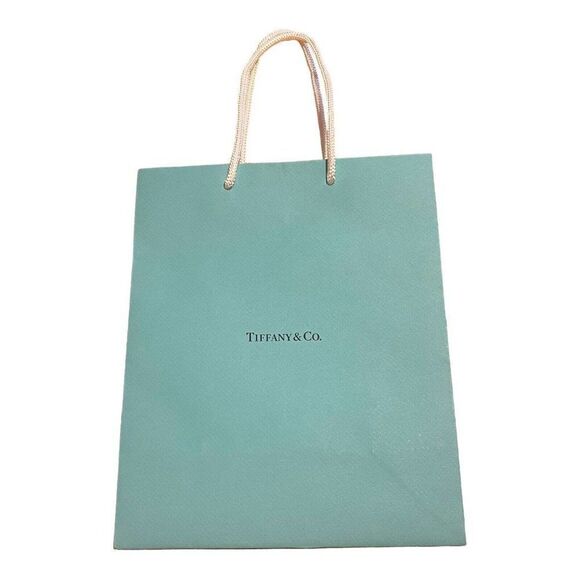 Authentic Empty Tiffany & Co. Shopping Bag 8”x9.75”x4” Gift Bag Present Wrapping - Picture 1 of 6